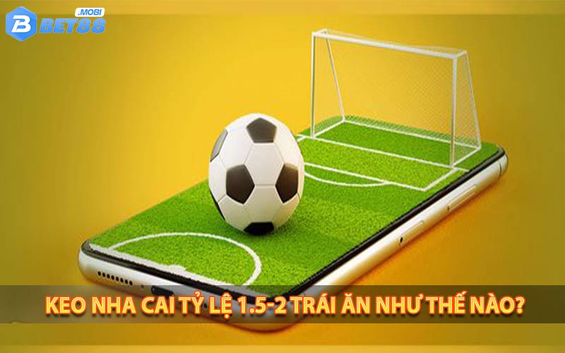 Keo-nha-cai-ty-le-1.5-2-trai-an-nhu-the-nao